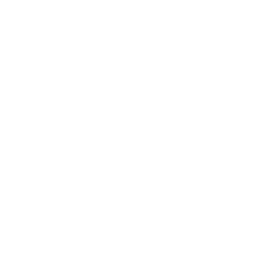 Netrix